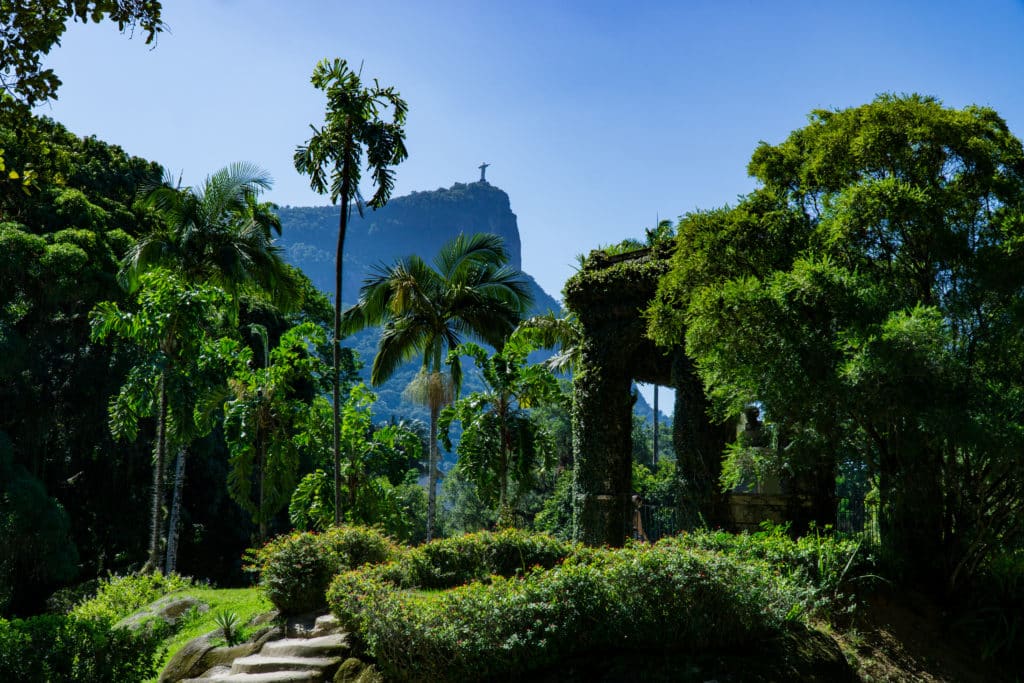 Botanischer Garten von Rio de Janeiro