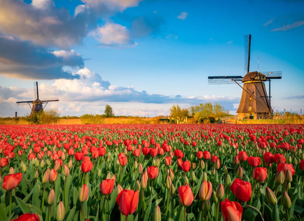 Windmühlen in Amsterdam