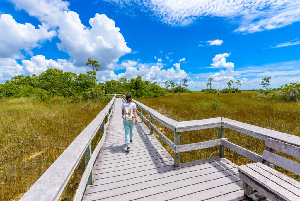 Wandern im Everglades Nationalpark